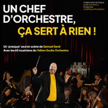 UN CHEF D?ORCHESTRE,&Ccedil;A SERT &Agrave; RIEN!