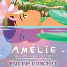 AMELIE ET LA METAPHYSIQUE DES TUBES En Cin&eacute; Concert
