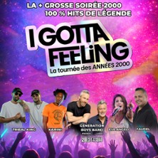 I GOTTA FEELING LA TOURNEE DES ANNEES 2000