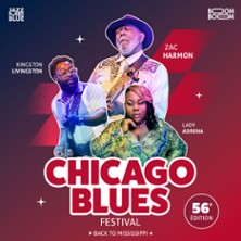 Chicago Blues Festival