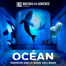 Oc&eacute;an + Cube The Giants et Greenpeace