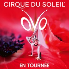 Cirque du Soleil - OVO