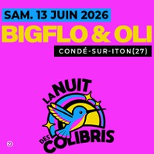 Bigflo et Oli&nbsp;-&nbsp;Festival  La Nuit des Colibris