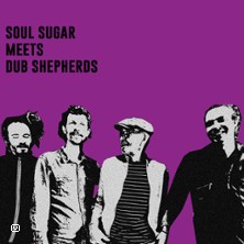 SOUL SUGAR MEETS DUB SHEPHERDS