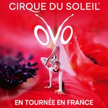 Cirque du Soleil - OVO