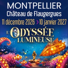 L'Odyss&eacute;e Lumineuse