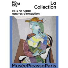 Billet Mus&eacute;e Picasso-Paris - La Collection