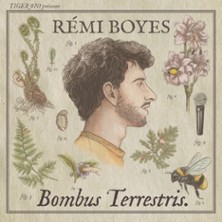 R&eacute;mi Boyes -  Bombus Terrestris V2 - Le Point Virgule, Paris