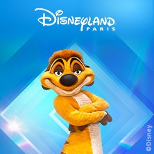 Disneyland Paris - Billet Dat&eacute; 3 Jours / 2 Parcs