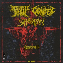 Despised Icon