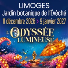 L'Odyss&eacute;e Lumineuse Limoges - Billet Open