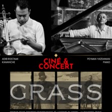 Cin&eacute;-concert &laquo; Grass &raquo; | Peyman Yazdania