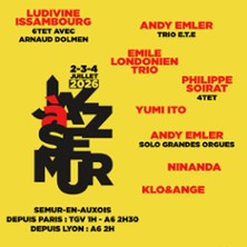 Festival Jazz &agrave; Semur - Pass Vendredi